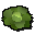 Cabbage