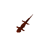 Red salamander