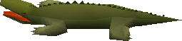 Crocodile