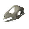 Lizard skull